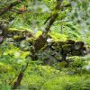 028_cairnbaan