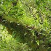 029_cairnbaan