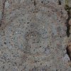 036_cairnbaan