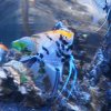 022_oban_sea_life_sanctuary
