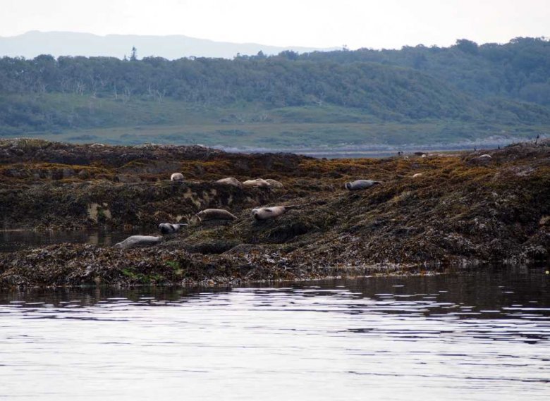 004_oban-corpach