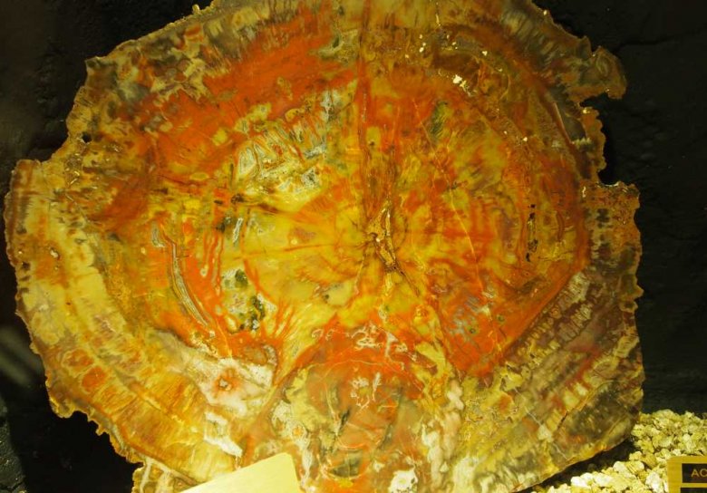 017_corpach-treasures_of_the_earth