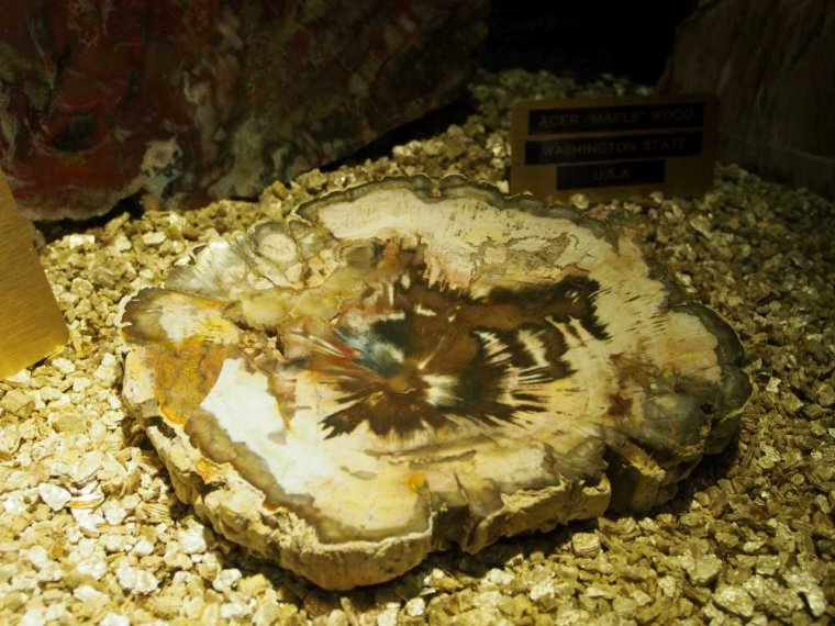 018_corpach-treasures_of_the_earth