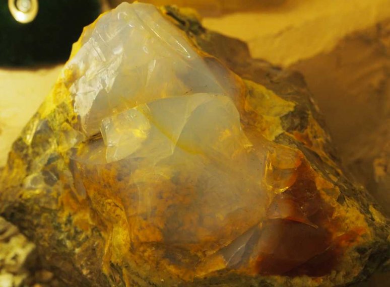 024_corpach-treasures_of_the_earth