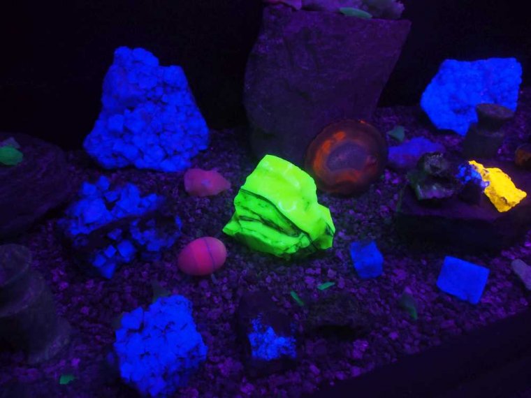 025_corpach-treasures_of_the_earth