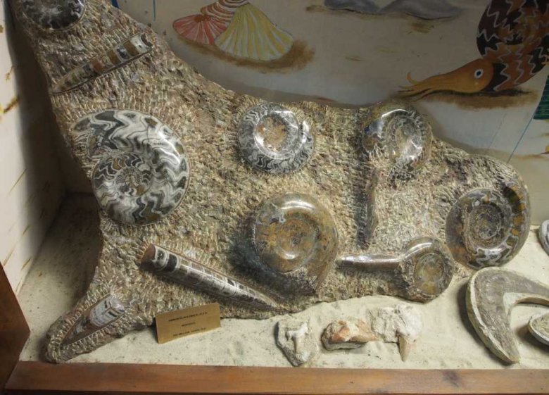 034_corpach-treasures_of_the_earth