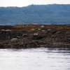 003_oban-corpach