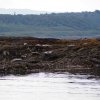 004_oban-corpach