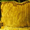 019_corpach-treasures_of_the_earth