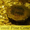 020_corpach-treasures_of_the_earth