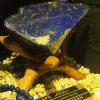 023_corpach-treasures_of_the_earth