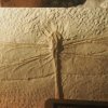 032_corpach-treasures_of_the_earth