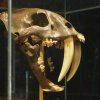 038_corpach-treasures_of_the_earth