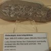 029_inverness_stadtmuseum