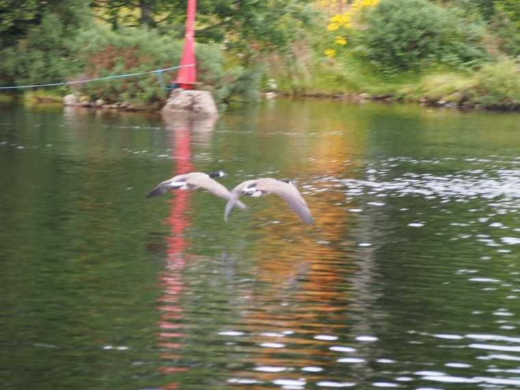 020_fort_augustus_bis_gairlochy