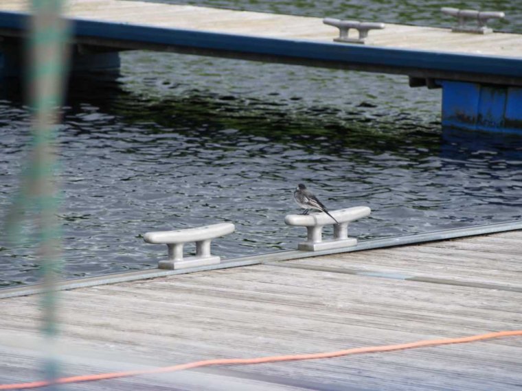 024_fort_augustus_bis_gairlochy