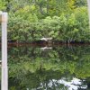 004_inverness_bis_fort_augustus
