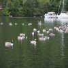 018_fort_augustus_bis_gairlochy