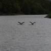 022_fort_augustus_bis_gairlochy