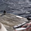 025_fort_augustus_bis_gairlochy