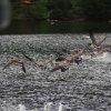033_fort_augustus_bis_gairlochy