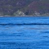 002_corryvrekham