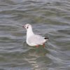 015_weymouth_stadtrundgang