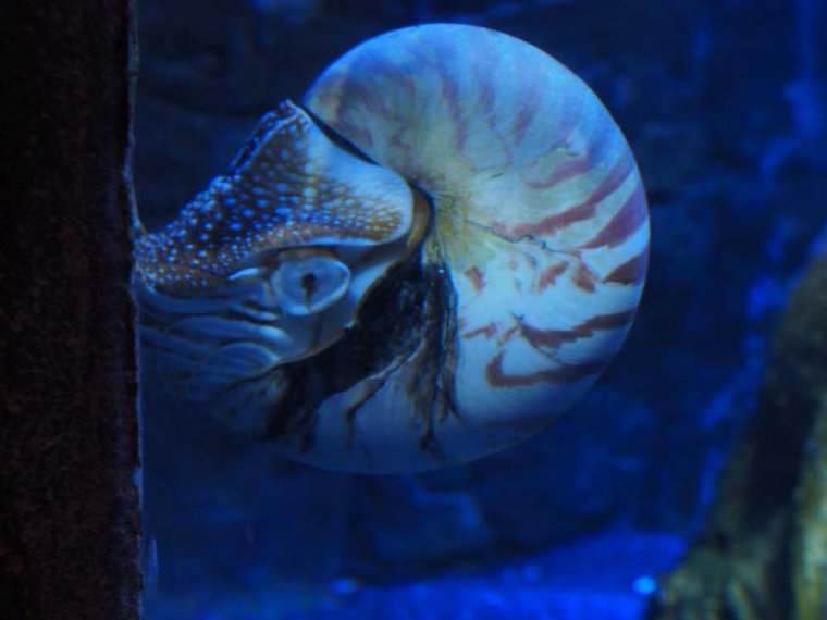 006_sealife_aquarium