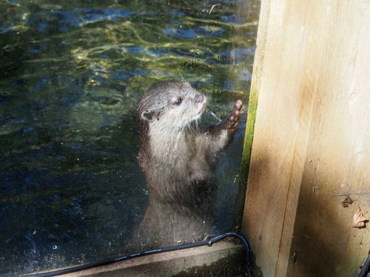012_sealife_aquarium