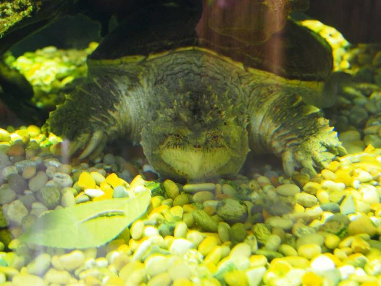 017_sealife_aquarium