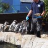 004_sealife_aquarium