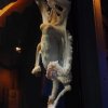 005_sealife_aquarium