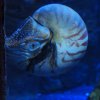 006_sealife_aquarium