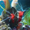 010_sealife_aquarium