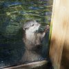 012_sealife_aquarium