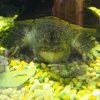 017_sealife_aquarium