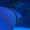 019_sealife_aquarium
