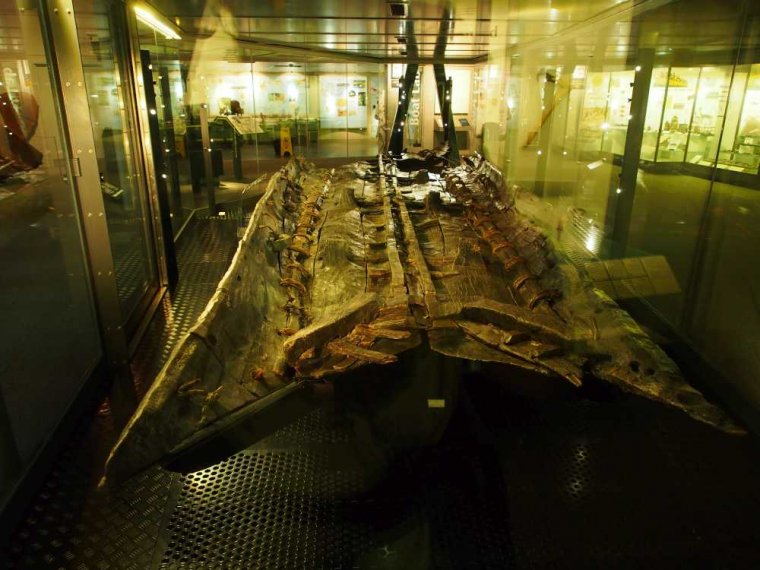 012_dover_museum