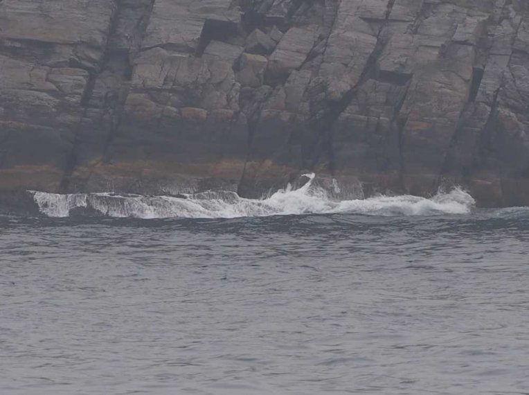 008_gjesvaer_hammerfest
