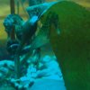 018_den_helder_aquarium