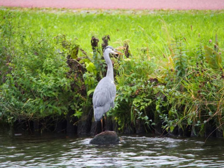 008_haarlem_alphen_aan_den_rijn