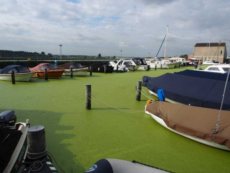 012_alphen_aan_den_rijn