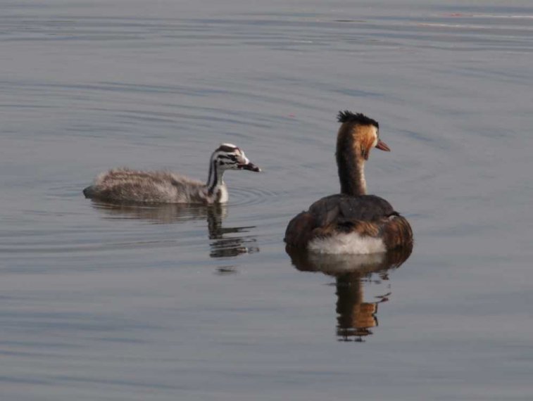 022_waterkant_sept_2016