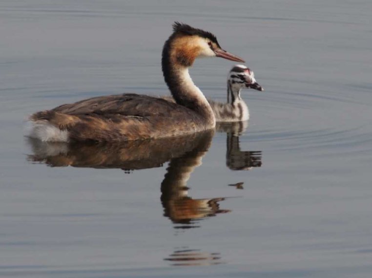 023_waterkant_sept_2016