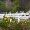 070_kristiansund